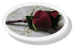 Rose400Round
