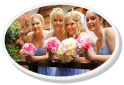 Check Out Our New Rose Packages