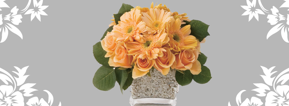 Florabunda Flowers - Everyday flowers delivered to your door