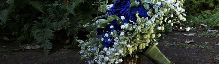 Royal blue roses at Cedar Creek Estate for Freya and Adam who shared their…