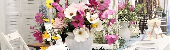 Mother nature stole the show in our display of very pretty Cosmos blooms for…