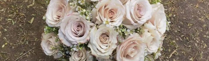 Love the subtle touch of the latte colour in these ‘quicksand’ roses we used…