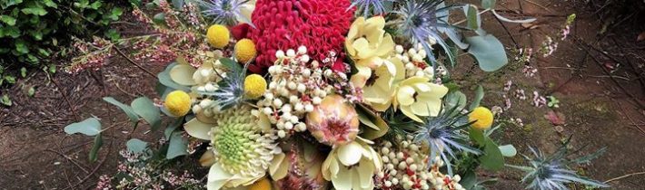 A whole bunch of natives for Scott and Jane, married at beautiful Tamborine Gardens…