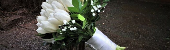 White tulips for a winter wedding for Emily & Daniel yesterday St Bernards Hotel…