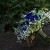 Royal blue roses at Cedar Creek Estate for Freya and Adam who shared their…