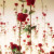 Wedding Florist on Tamborine Mountain info@