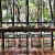 We loved making this very on trend table scape at Pethers Rainforest Retreat on…