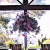 Congratulations Jackie & their wedding on Monday on this beautiful property on Tamborine Mountain.…