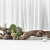 Loving our new woody centrepiece